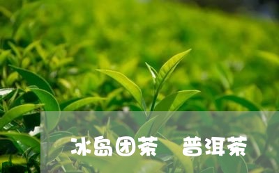 冰岛团茶 普洱茶/2023041387371